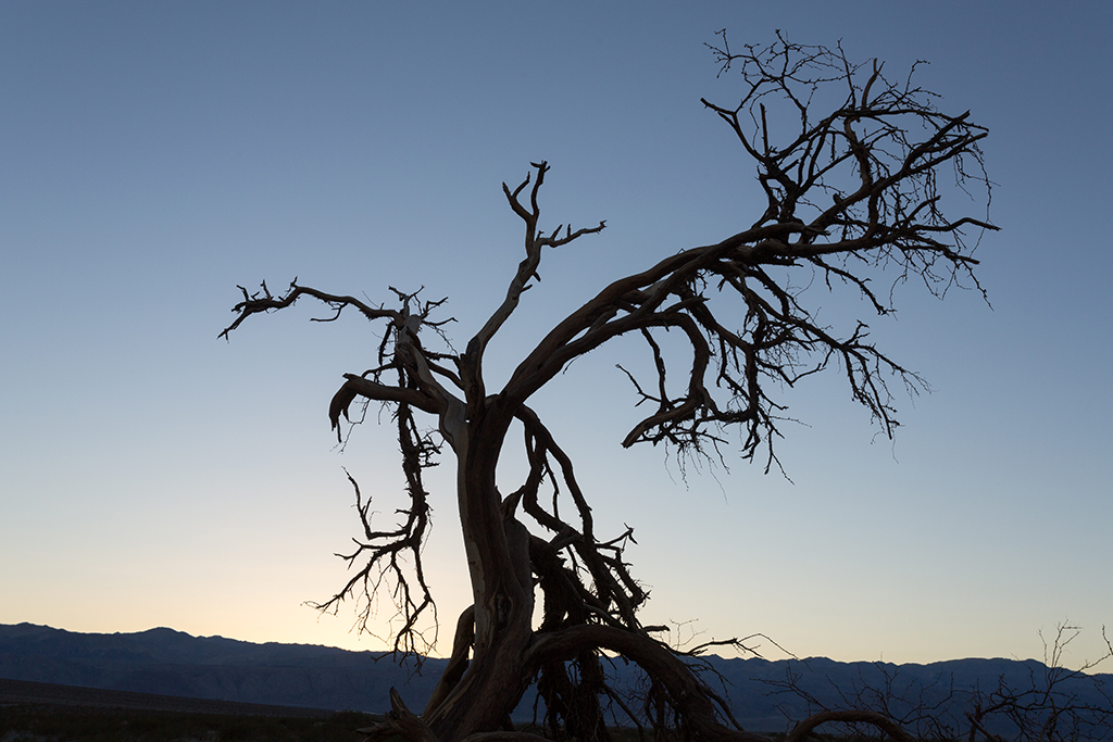 10-02 - 14.jpg - Mesquite Flat Sand Dunes, Death Valley National Park